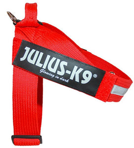 Julius K9 IDC Imbracatura a Chiusura per Cintura Rosso - Pet Shop Luna