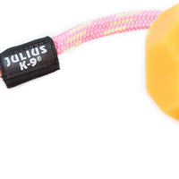 Julius-K9 Pallina IDC Neon Fluorescent, 60 mm, Arancione, Versione Morbida - Pet Shop Luna
