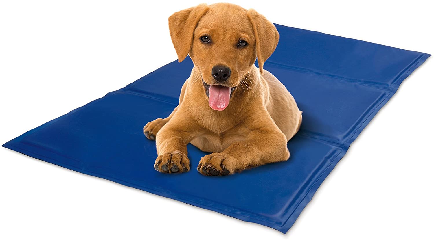 Lauva Record Stay Fresh 1355 Cooling Mat M Blue - Pet Shop Luna