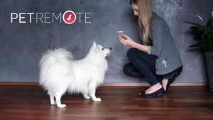 Collare No-Shock per Cani - Pet Shop Luna