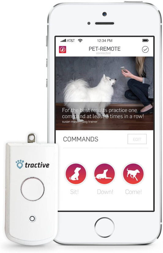 Collare No-Shock per Cani - Pet Shop Luna