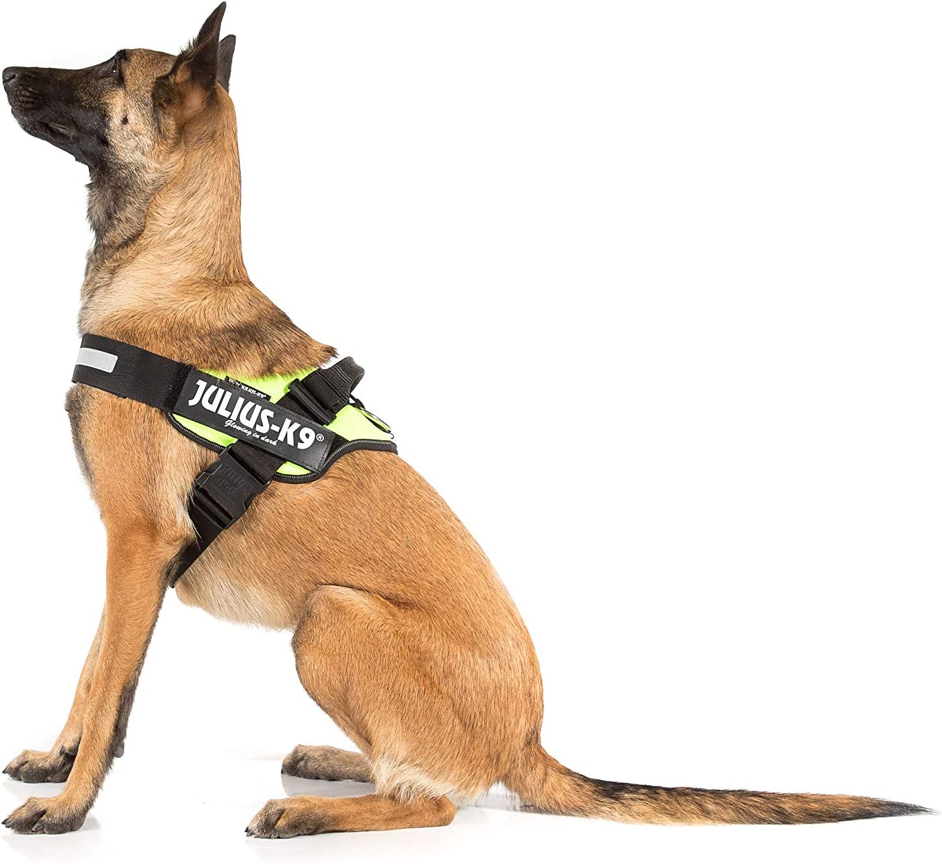 JULIUS-K9, 16IDC-NE-4, IDC-Powerharness, Size: 4, Neon Green - Pet Shop Luna