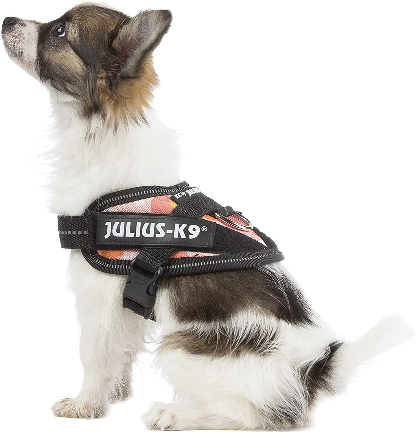 Julius-K9 Pettorina IDC Power, Taglia: 3XS/Baby 1, Rosa con Fiori - Pet Shop Luna