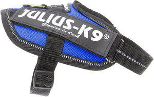 Julius-K9, 16IDC-B-B1, IDC Powerharness, dog harness, Size: 2XL/3XS/Baby 1, Blue - Pet Shop Luna