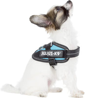 Julius-K9, 16IDC-AM-B1, IDC Powerharness, dog harness, Size: 2XL/3XS/Baby 1, Aquamarine - Pet Shop Luna
