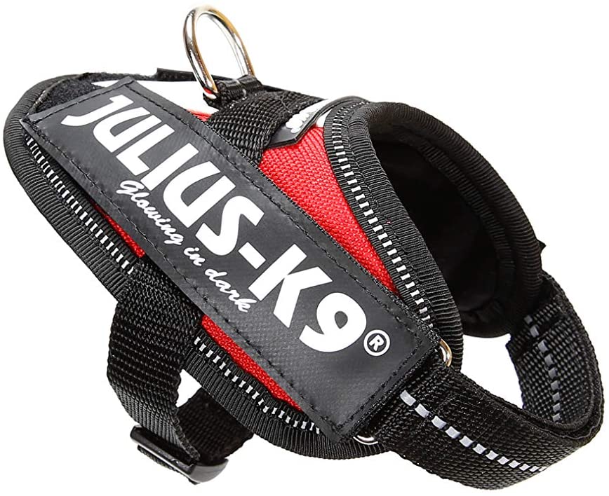 Julius-K9, 16IDC-FR-B1, IDC Powerharness, dog harness, Size: Baby 1, French colours - Pet Shop Luna