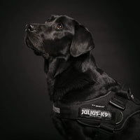 Julius-K9 harness - Pet Shop Luna