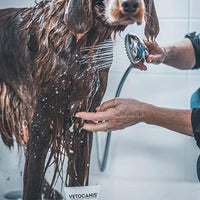 vetocanis Shampoo Peli - Pet Shop Luna