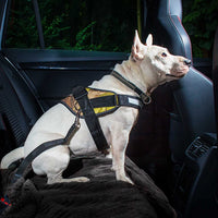 Julius-K9 Seat Belt Connecting For Dogs - Pet Shop Luna