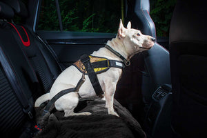 Julius-K9 Seat Belt Connecting For Dogs - Pet Shop Luna