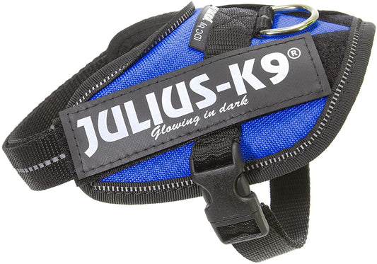 Julius-K9, 16IDC-B-B2, IDC Powerharness, dog harness, Size: Baby 2, Blue - Pet Shop Luna