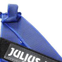 Julius-K9 IDC Color & Gray Belt Harness for Dogs - Pet Shop Luna
