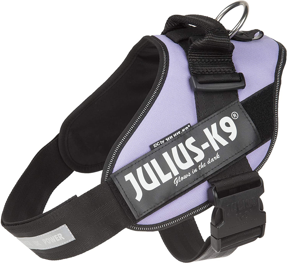 Julius-K9 IDC-Powerharness, Size 2, Purple - Pet Shop Luna
