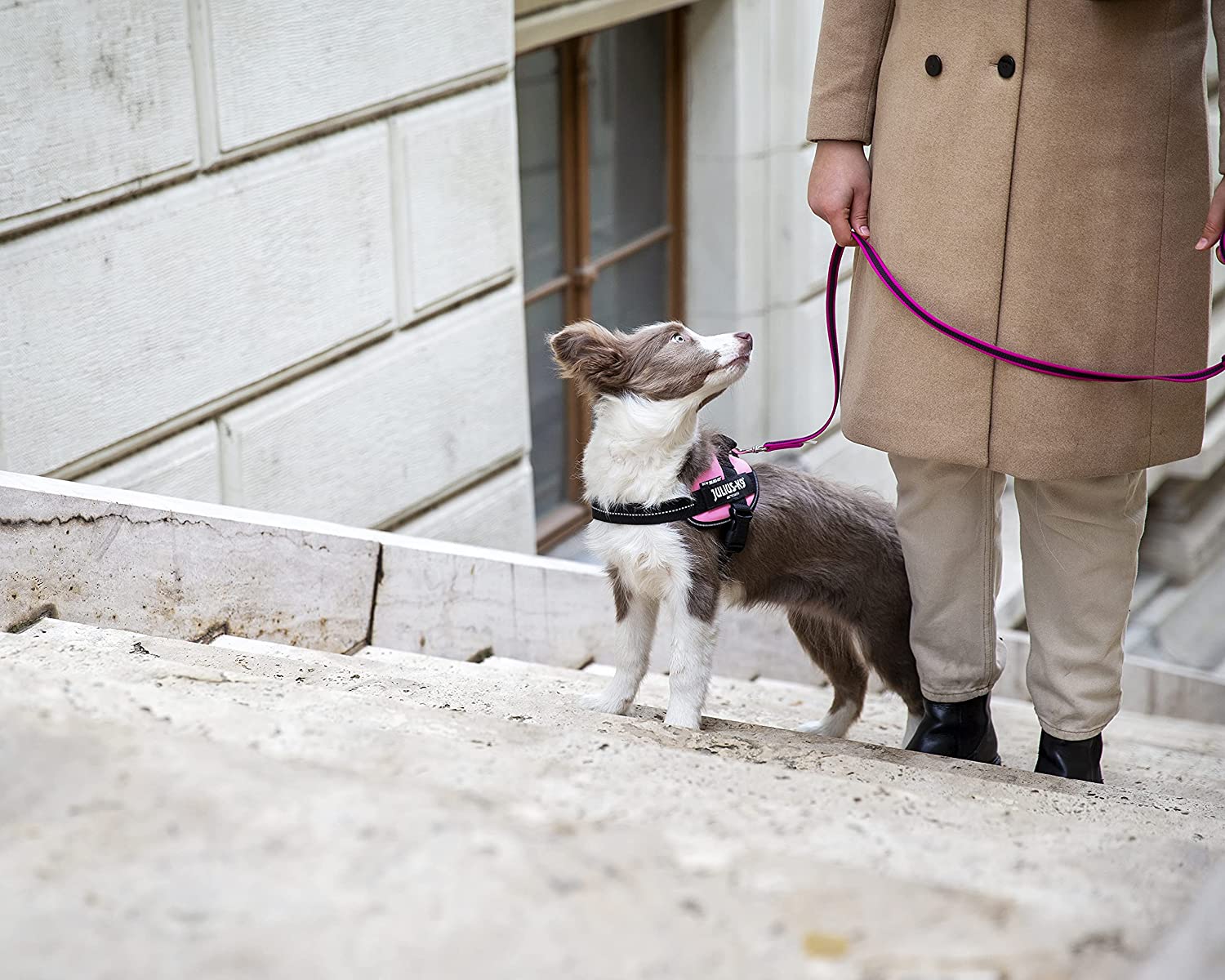 Julius-K9 IDC-Powerharness, Size Mini, Pink - Pet Shop Luna