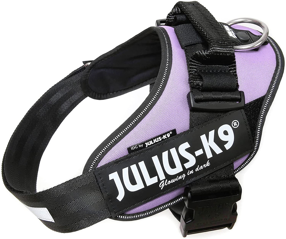 Julius-K9 IDC-Powerharness, Size 1, Purple - Pet Shop Luna