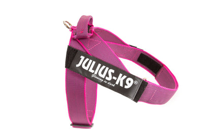 Julius-K9 Pettorina a Fascia Color & Gray