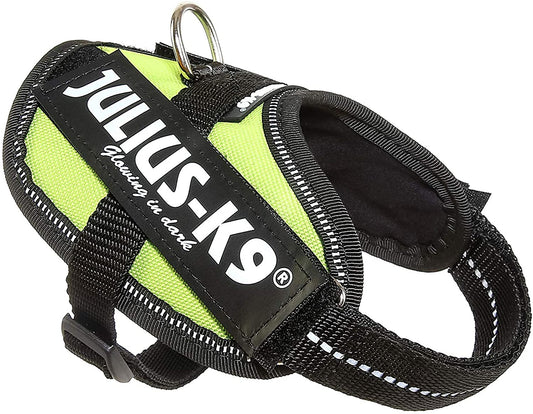 JULIUS-K9, 16IDC-NE-B2, IDC-Powerharness, Size: Baby 2, Neon Green - Pet Shop Luna