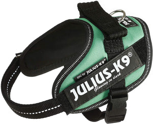 Julius-K9, 16IDC-GG-MM, IDC Powerharness, dog harness, Size: Mini-Mini, Grass Green - Pet Shop Luna