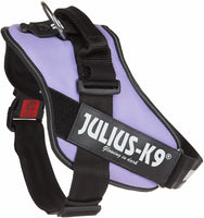 Julius-K9 IDC-Powerharness, Size 1, Purple - Pet Shop Luna

