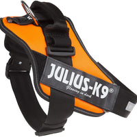 Julius-K9, 16IDC-FOR-1, IDC Powerharness, dog harness, Size: 1, UV Orange - Pet Shop Luna