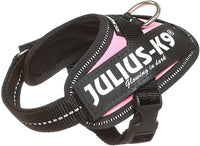 Julius-K9 IDC-Powerharness, Size Baby 1, Pink - Pet Shop Luna
