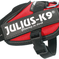 Julius-K9, 16IDC-R-B1, IDC Powerharness, dog harness, Size: Baby 1, Red - Pet Shop Luna