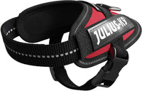 Julius-K9, 16IDC-R-B1, IDC Powerharness, dog harness, Size: Baby 1, Red - Pet Shop Luna
