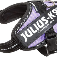 Julius-K9 IDC-Powerharness, Size Baby 2, Purple - Pet Shop Luna