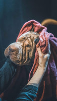 Shampoing antiodeur chien VETOCANIS - Pet Shop Luna
