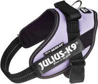 Julius-K9 IDC-Powerharness, Size Mini, Purple - Pet Shop Luna
