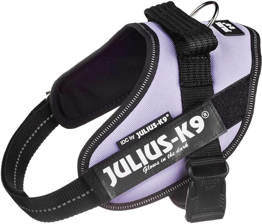 Julius-K9 IDC-Powerharness, Size Mini, Purple - Pet Shop Luna