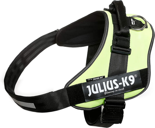 JULIUS-K9, 16IDC-NE-4, IDC-Powerharness, Size: 4, Neon Green - Pet Shop Luna