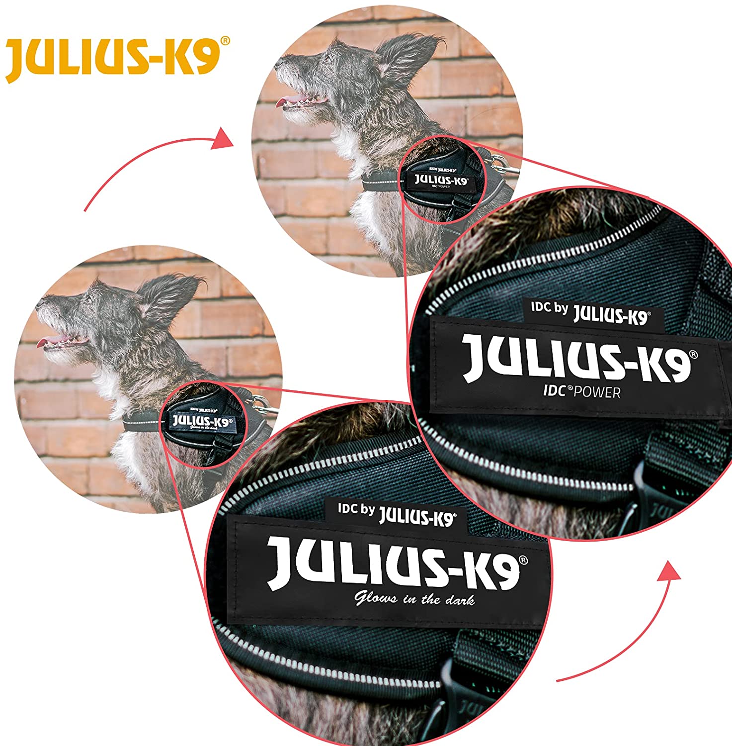 Julius-K9, 16IDC-C-B2, IDC Powerharness, dog harness, Size: Baby 2, Camouflage - Pet Shop Luna