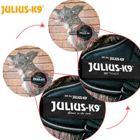 Julius-K9, 16IDC-PNF-1, IDC Powerharness, dog harness, Size: 1, Pink with flowers - Pet Shop Luna