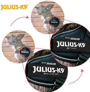 Julius-K9, 16IDC-P-B1, IDC Powerharness, dog harness, Size: 2XL/3XS/Baby 1, Black - Pet Shop Luna