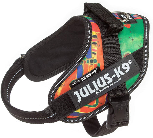 Julius-K9, 16IDC-REGGAE-M, IDC Powerharness, dog harness, Size: Mini, Reggae Canis - Pet Shop Luna