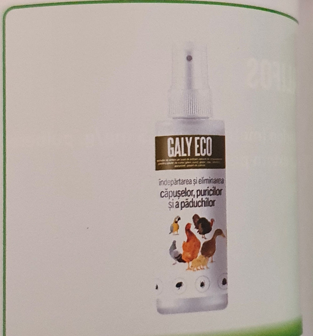 GALY ECO 100ML SOLUTION FOR EXTERNAL USE FOR ALL BIRDS - Pet Shop Luna