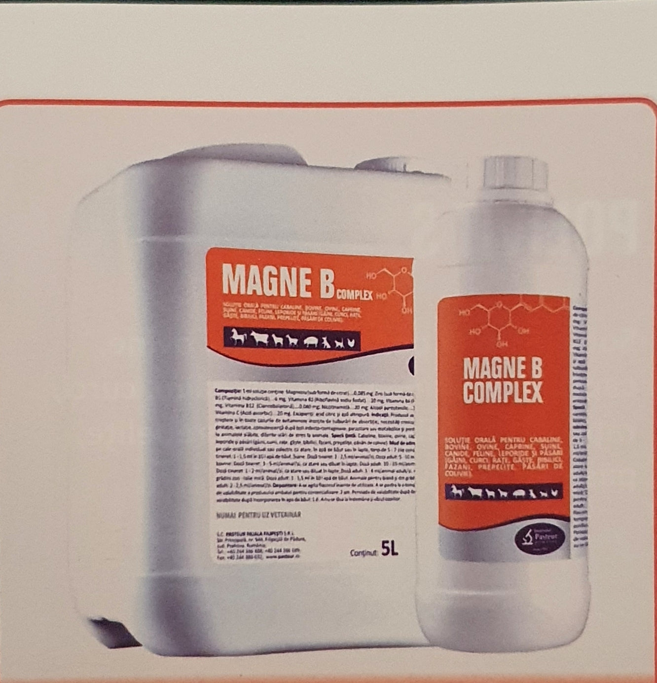 MAGNE B COMPLEX 1L ORAL SOLUTION FOR ALL FARM ANIMAL INCLUDING HORSES - Pet Shop Luna