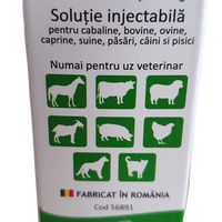 Vitamina B1+B6 2x 20ml for horses, cattle, sheep, goats, swine, pet (dogs and cats) - Pet Shop Luna