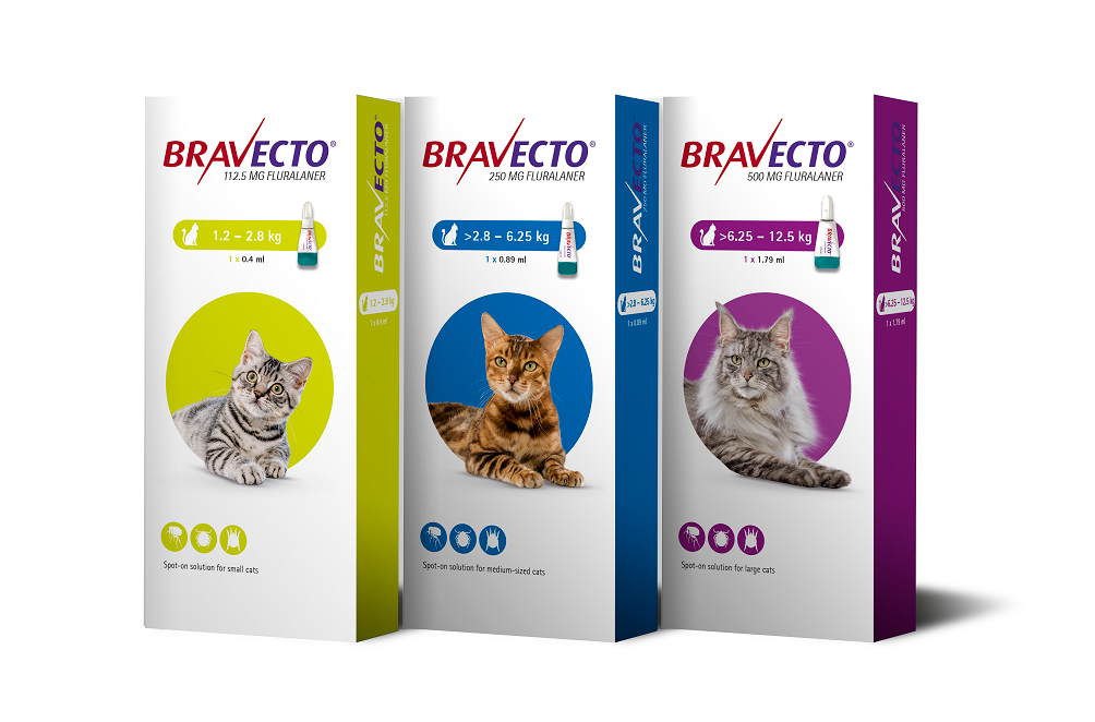 Bravecto side effects cats 2025
