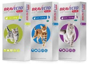 Bravecto Plus Spot On Cat Flea,tick dewormer,heartworm, heart disease > One Dose - Pet Shop Luna