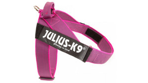 Julius k9 IDC band harness for dogs - Pet Shop Luna
