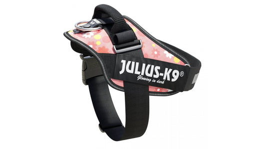 IDC Power Dog Harness Julius K9, Flower Pink/ Pettorina Julius k9 per cani - Pet Shop Luna