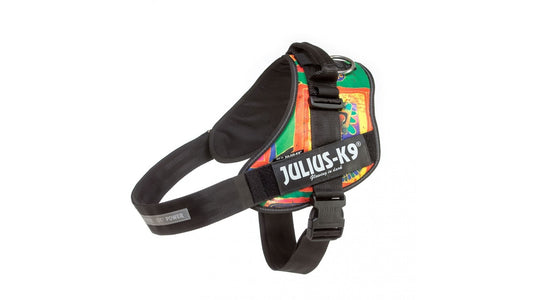 IDC Power Dog Harness Julius K9, Reggae / Pettorina Julius k9 per cani - Pet Shop Luna