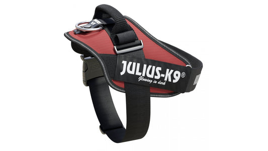 IDC Power Dog Harness Julius K9, Bordeaux / Pettorina Julius k9 per cani - Pet Shop Luna