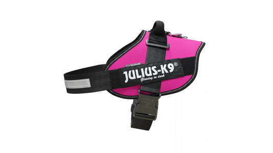 IDC Power Dog Harness Julius K9, Dark Pink / Pettorina Julius k9 per cani - Pet Shop Luna