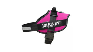 IDC Power Dog Harness Julius K9, Dark Pink / Pettorina Julius k9 per cani - Pet Shop Luna