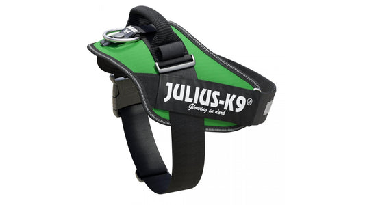 IDC Power Dog Harness Julius K9, GREEN / Pettorina Julius k9 per cani - Pet Shop Luna