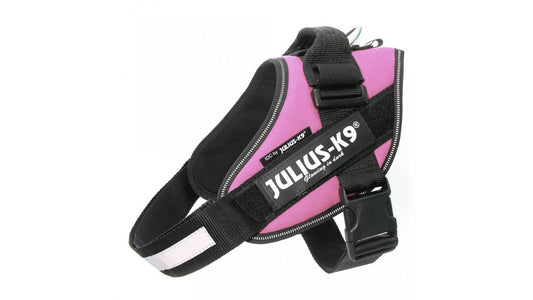 IDC Power Dog Harness Julius K9, PINK / Pettorina Julius k9 per cani - Pet Shop Luna