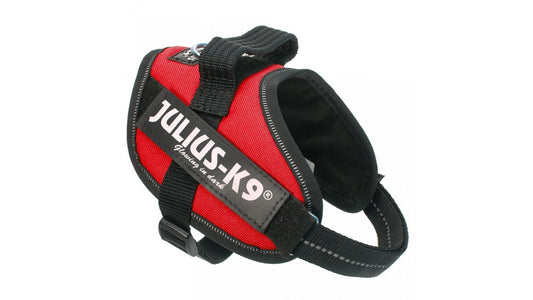 IDC Power Dog Harness Julius K9, RED / Pettorina Julius k9 per cani, colore ROSSO - Pet Shop Luna